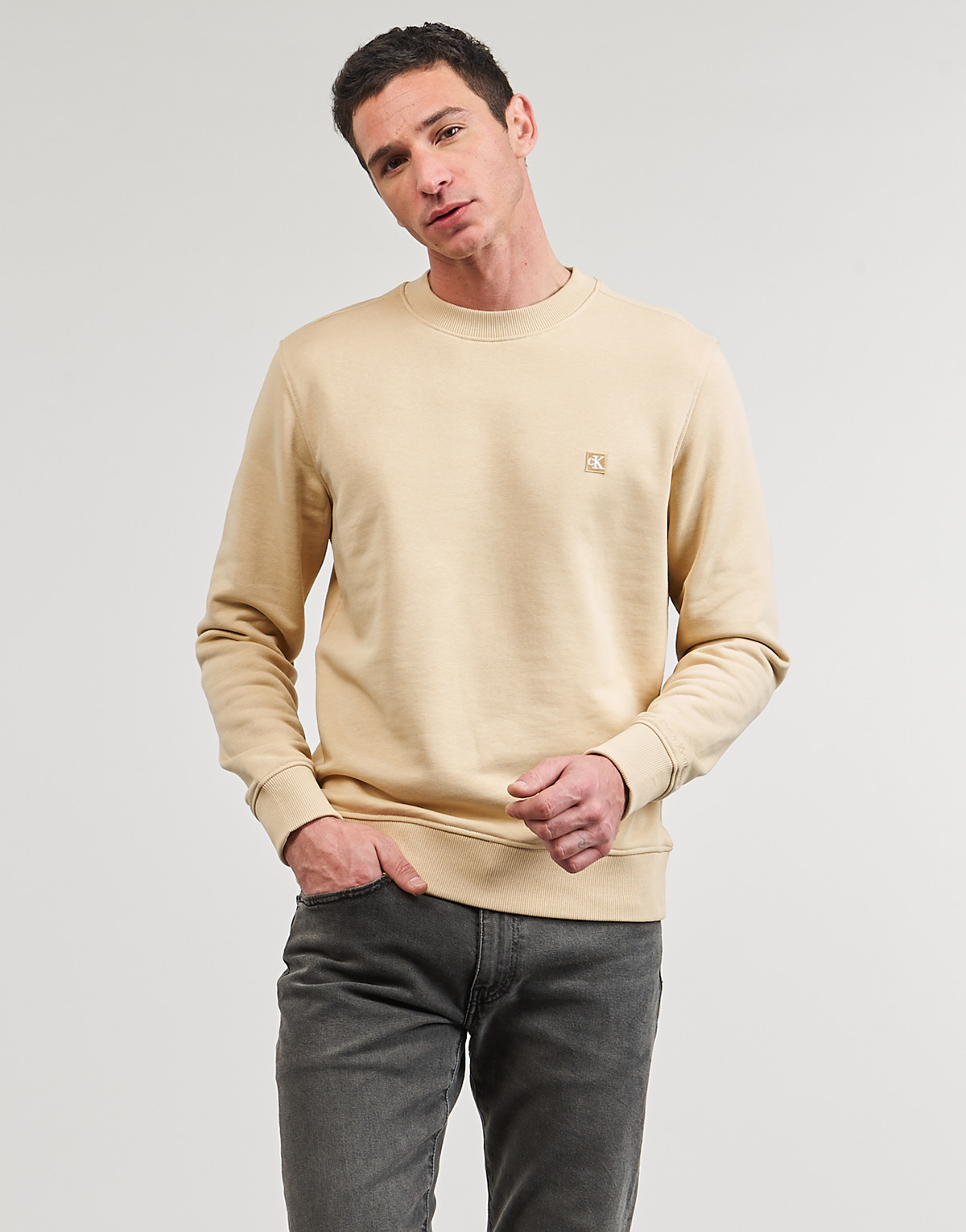 Vêtements Homme Sweats Calvin Klein Jeans CK EMBRO BADGE CREW NECK 
