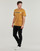 Kleidung Herren T-Shirts Timberland Linear Logo Short Sleeve Tee Kamel