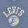 Vêtements Garçon T-shirts manches courtes Levi's SURFS UP TEE 