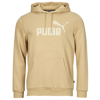 Vêtements Homme Sweats Puma ESS BIG LOGO HOODIE FL (S) 