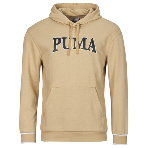 Kleidung Herren Sweatshirts Puma PUMA SQUAD HOODIE TR Beige
