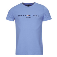 Abbigliamento Uomo T-shirt maniche corte Tommy Hilfiger TOMMY LOGO TEE 