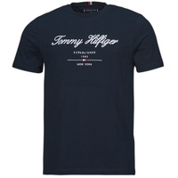 Abbigliamento Uomo T-shirt maniche corte Tommy Hilfiger SCRIPT LOGO TEE 