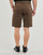 Vêtements Homme Shorts / Bermudas Volcom FRCKN MDN STRCH SHT 21 