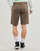 Abbigliamento Uomo Shorts / Bermuda Volcom FRCKN MDN STRCH SHT 21 