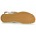 Schuhe Damen Sandalen / Sandaletten Geox D SANDAL VEGA Beige / Golden