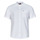 Kleidung Herren Kurzärmelige Hemden Tommy Jeans TJM REG MAO LINEN BLEND SS SHIRT Weiß