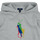 Kleidung Kinder Sweatshirts Polo Ralph Lauren PO HOOD-KNIT SHIRTS-SWEATSHIRT Grau