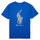 Vêtements Garçon T-shirts manches courtes Polo Ralph Lauren SS CN-KNIT SHIRTS-T-SHIRT 