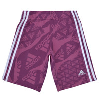 Kleidung Mädchen Shorts / Bermudas Adidas Sportswear LK CAMLOG FT SH  