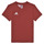Kleidung Jungen T-Shirts adidas Performance ENT22 TEE Y Rot