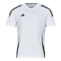 Kleidung Herren T-Shirts adidas Performance TIRO24 SWTEE Weiß