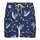 Kleidung Herren Badeanzug /Badeshorts Polo Ralph Lauren MAILLOT DE BAIN A RAYURES EN SEERSUCKER Bunt