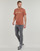 Vêtements Homme T-shirts manches courtes Columbia CSC Basic Logo Tee 