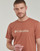Vêtements Homme T-shirts manches courtes Columbia CSC Basic Logo Tee 