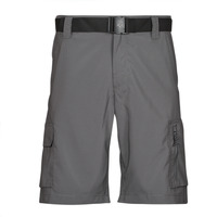 Vêtements Homme Shorts / Bermudas Columbia Silver Ridge Utility Cargo Short 