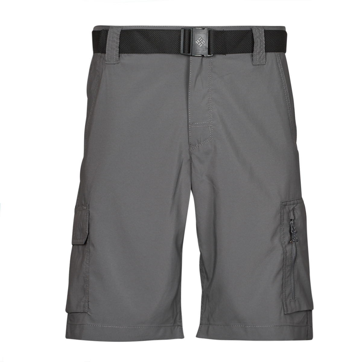 Vêtements Homme Shorts / Bermudas Columbia Silver Ridge Utility Cargo Short 