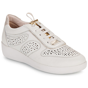 Chaussures Femme Baskets basses Stonefly PASEO IV 28 NAPPA LTH 