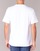 Vêtements Homme T-shirts manches courtes Dickies HORSESHOE TEE Blanc