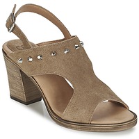Chaussures Femme Sandales et Nu-pieds Betty London EGALIME Taupe