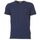 Vêtements Homme T-shirts manches courtes Tommy Jeans OFLEKI Marine